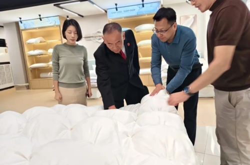 桐城市人民法院赴润泰公司走访调研