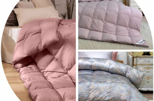 绒耀芯境界，共谱新篇章