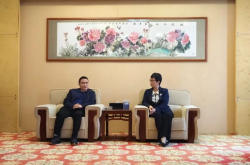 桐城市政府市长王静莅临公司走访调研