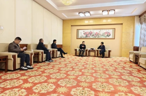 桐城市政府市长王静莅临公司走访调研