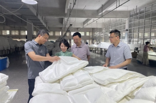 安徽省产品质量监督检验研究院党委书记、院长童宁莅临润泰公司调研指导
